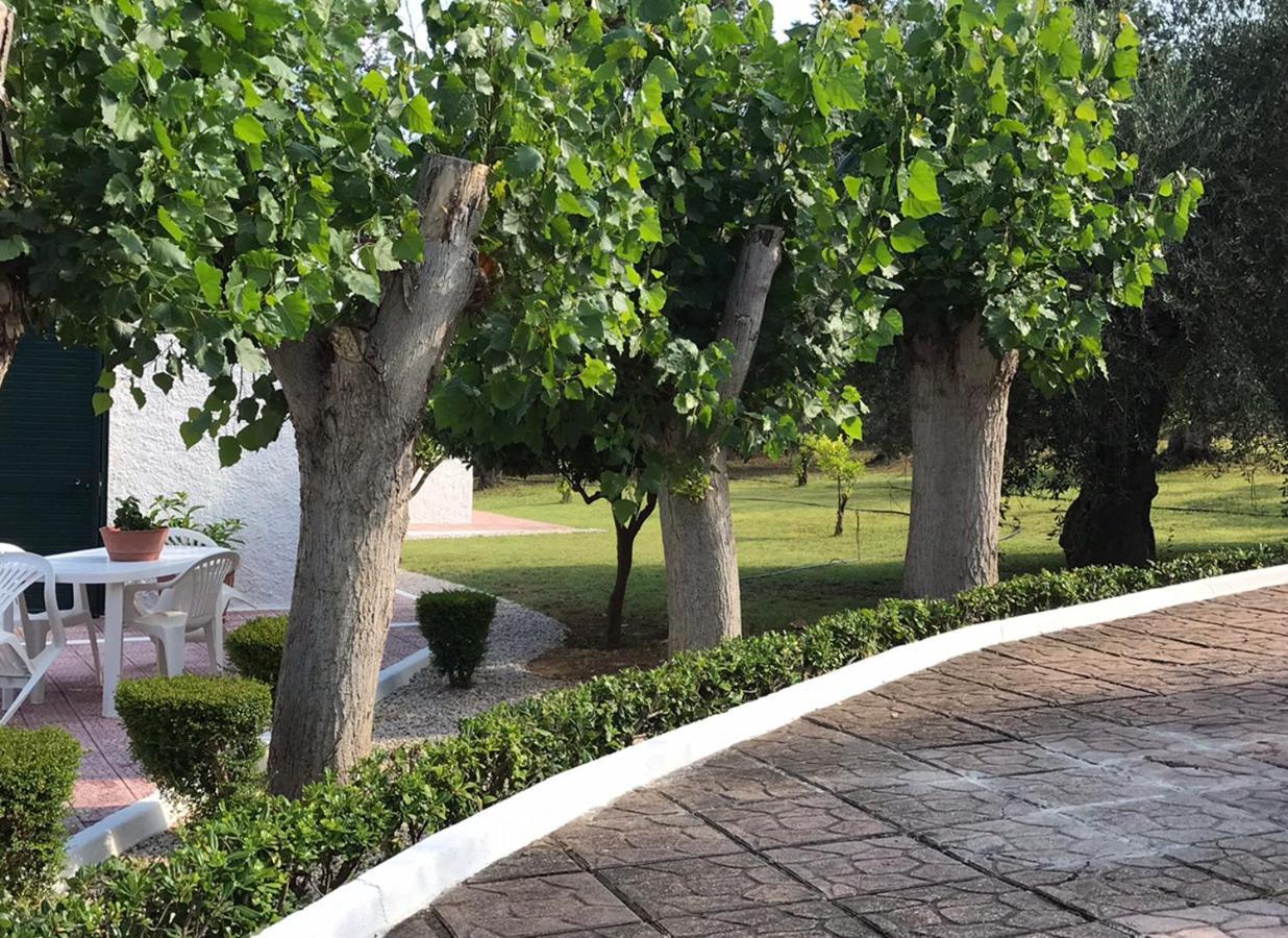 Villa Il Carrubo - Basilicata Пистиччи Экстерьер фото