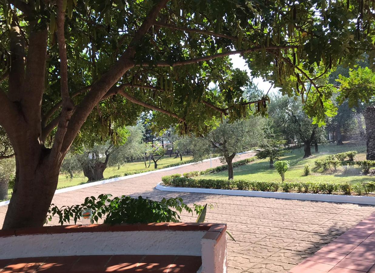 Villa Il Carrubo - Basilicata Пистиччи Экстерьер фото
