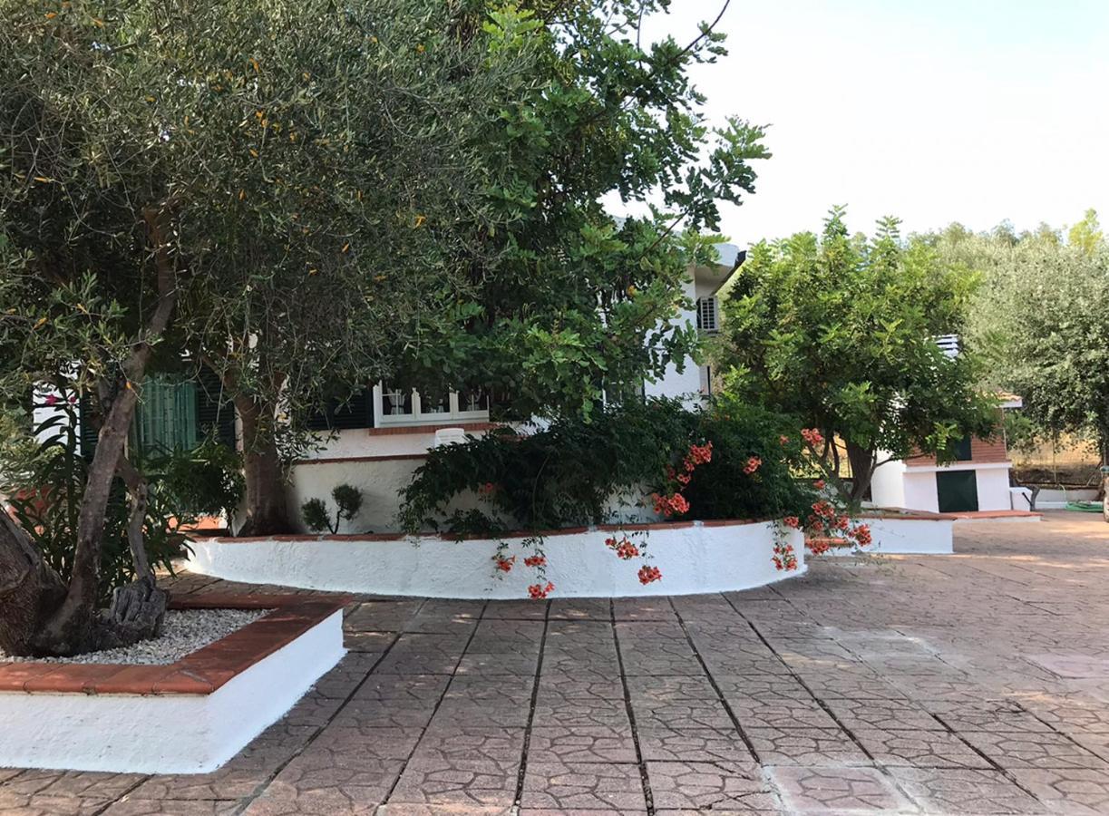 Villa Il Carrubo - Basilicata Пистиччи Экстерьер фото