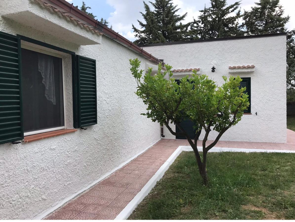 Villa Il Carrubo - Basilicata Пистиччи Экстерьер фото