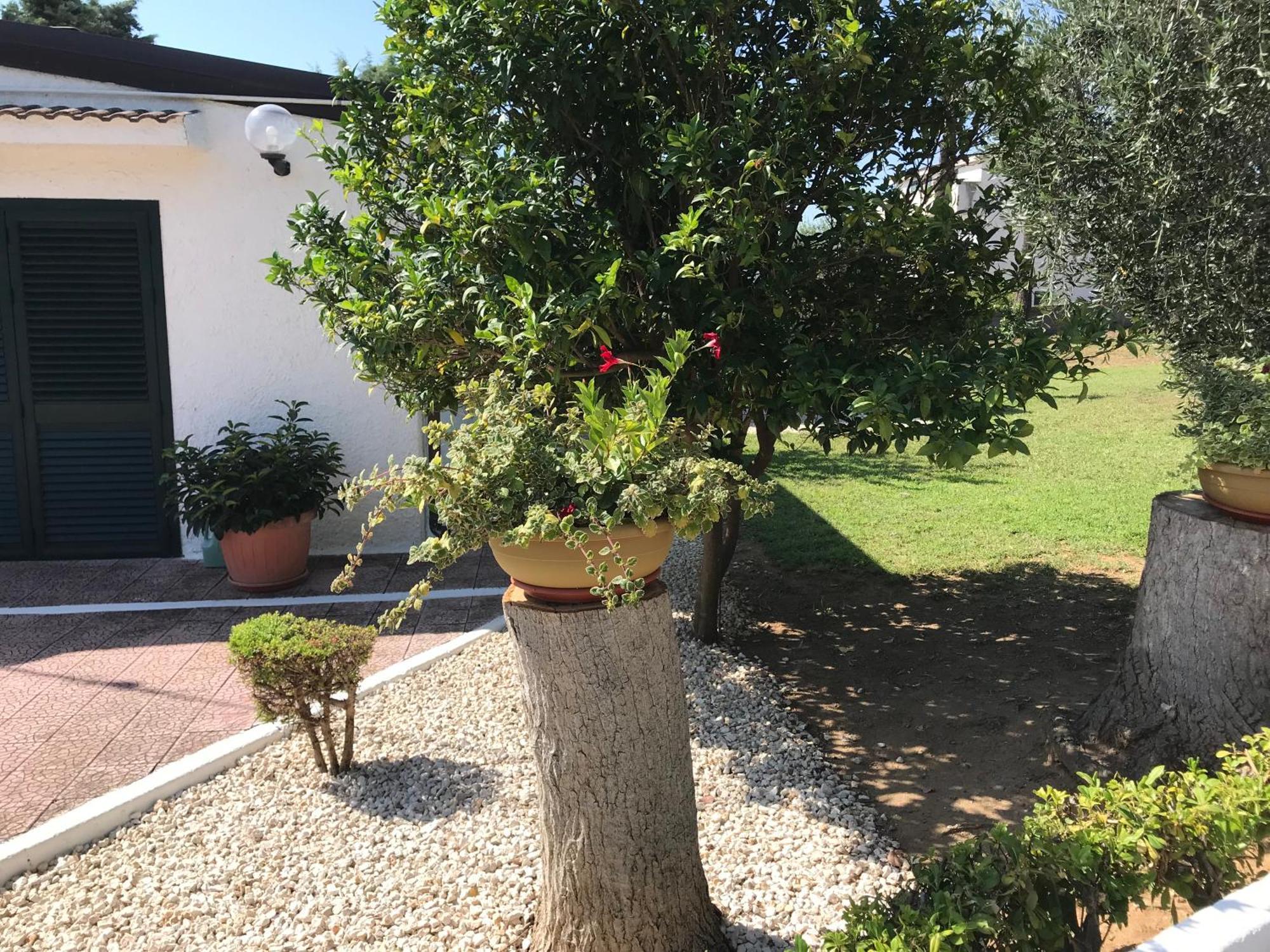 Villa Il Carrubo - Basilicata Пистиччи Экстерьер фото