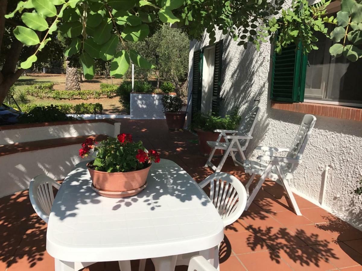 Villa Il Carrubo - Basilicata Пистиччи Экстерьер фото